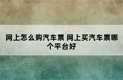 网上怎么购汽车票 网上买汽车票哪个平台好